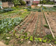 Chính chủ bán lô đất tiềm năng   giá chỉ 8xx triệu - tân yên, bắc giang