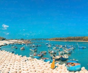 4  Đất biển Lộc An   cách biển 200m   cơ hội đầu tư dòng tiền 