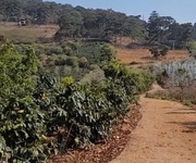 Bán lô đất Xuân Trường giá cực rẻ so với thị trường