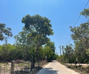 Bán 912m2 đất thổ cư hẻm lý thường kiệt, phước hội, lagi giá rẻ 1.5 tỷ