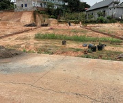 Đất đẹp - khu dịch vụ phú hà - diện tích 208m  full thổ cư - mặt tiền 10m