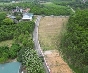 CHỈ TỪ 2XX TRIỆU   SỞ hữu ngay đất sổ riêng trung tâm AN BÌNH   GIÁ HIẾM   TIỀM NĂNG RÕ RỆT