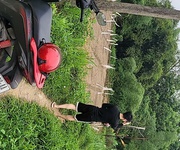 Bán đất chính chủ tại tp thái nguyên  giá tốt