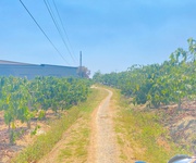 1,7 sào hẻm ql27, cây số 5, n thôn cũ, đức trọng, lâm đồng