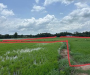 Cần bán 3 miếng đất ruộng  liền kề ven sông tại ấp 3, xã tân phước tây, huyện tân trụ, long an.