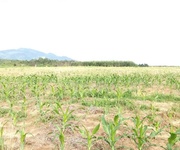 Bán 1.18 ha đất hẻm quốc lộ 55, tân nghĩa, hàm tân đường ô tô giá rẻ