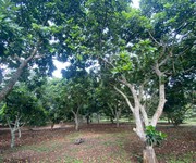 Chỉ 750tr sở hữu ngay 500m2 đất chính chủ mặt tiền oto tránh tại bảo vinh-long khánh