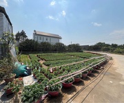 Chính chủ bán hai lô đất măt tiền đường bến đôi, đồng nai - giá 2 lô 2,3 tỷ có 100 thổ cư