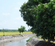 2 săn ngay lô đất view kênh đồng lúa siêu chill 2 săn ngay lô đất view kênh đồng lúa siêu chill