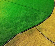 4 săn ngay lô đất view kênh đồng lúa siêu chill 4 săn ngay lô đất view kênh đồng lúa siêu chill