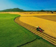 5 săn ngay lô đất view kênh đồng lúa siêu chill 5 săn ngay lô đất view kênh đồng lúa siêu chill