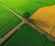 6 săn ngay lô đất view kênh đồng lúa siêu chill 6 săn ngay lô đất view kênh đồng lúa siêu chill