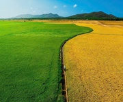 7 săn ngay lô đất view kênh đồng lúa siêu chill 7 săn ngay lô đất view kênh đồng lúa siêu chill