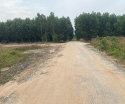 Bán 2 sào đất mặt tiền lê đức thọ - tân bình - lagi giá ngộp 800 triệu