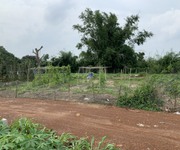 CHÍNHCHỦ  Cần bán đất xã Láng Dài,Đất Đỏ,Bà Rịa-Vũng Tàu 1,3triệu/m2 1000m2