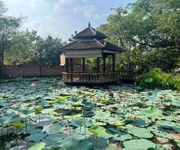 Siêu phẩm đất nhà vườn - mặt tiền sông đồng nai chỉ 10 triệu/m2 long phước, thủ đức