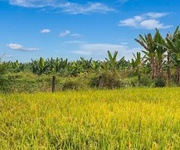 Đất   kv châu pha phú mỹ, gần kề kcn châu đức