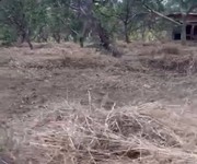 Đất đẹp giá tốt   cần bán đất đắk nguyên   xã đắk ngo, huyện tuy đức, đắk nông