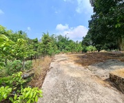 Bán gấp đất vườn khu tượng, phú quốc, thích hợp làm homestay, farmstay hay khu nghỉ dưỡng sinh thái