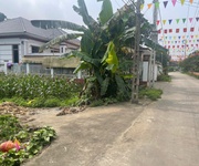 Chính chủ bán gấp 2 ô đất liền kề tại vạn xuân, tam nông, phú thọ