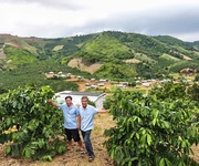 Siêu phẩm 15ha view đẹp hiếm   full cây trái   cafe   làm farm stay cực đỉnh.