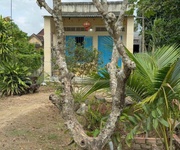 Chính chủ bán gấp đất nền , giá tốt tại xã diên thọ , diên khánh, khánh hòa