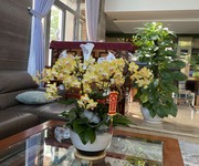 2 Bán biệt thự sân vườn villa park quận quận9 2 Bán biệt thự sân vườn villa park quận quận9