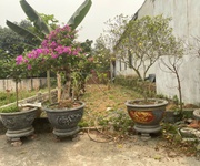 Bán lô đất đẹp thôn 7 Phú Cát gần trung tâm Hòa Lạc sát nhà máy in tiền