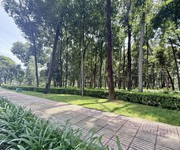 Đêm mất ngủ cùng SIÊU PHẨM hàng xóm CV Gia Định - 65m2 x 4 tầng - vị trí nột nà - 9 tỷ xíu.