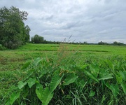 4 Bán đất view sông   vị trí đẹp tại củ chi