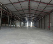 Đừng đợi đến khi kho quá tải mới tìm giải pháp Đừng đợi đến khi kho quá tải mới tìm giải pháp