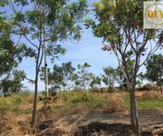 3 Bán đất KCN CÁI MÉP   BRVT   30.000 m