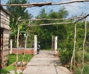 Bán đất thổ cư 864m2 sổ hồng đường nguyễn an ninh tân quy đông, sa đéc, đồng tháp, giá 2.5 tỷ