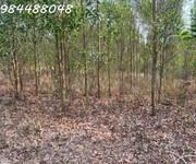 Bán đất vườn 8600m2 tại xuân thành, đồng nai. giá chỉ 3.2 tỷ. lh: 0984488048