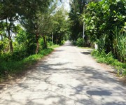 Cần bán 1ha đất lúa đường đê số 3