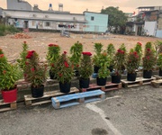 Hàng fo mới ra lò đất 125m mt giá chỉ 3.75 tỷ   quá hiếm