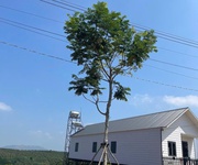 5  150m    CHỈ 789 TRIỆU   ĐẤT VEN ĐÀ LẠT 