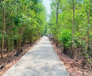 Bán 283m2 đất thổ cư hẻm quốc lộ 55, tân thiện, lagi giá rẻ nhất 1.2 tỷ