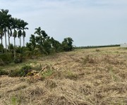 2 Bán đất đường Kênh 10, Lê Minh Xuân, Bình Chánh