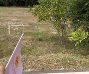 Đất MT ĐT795   590tr Sở Hữu Ngay Vị Trí Đẹp, Đầu Tư Lời Nhanh