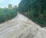 Bán 4.5 sào hẻm cù chính lan - lagi giá rẻ quy hoạch skc