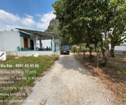 Chính chủ cần bán đất tặng nhà cũ tại quy đạt, minh hóa, quảng bình.