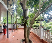 3 Cho thuê mặt bằng kinh doanh trong biệt thự