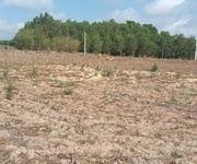 Bán đất ngộp 1050m2- Gò Sầm - Láng Dài -Đất Đỏ-HCM