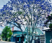 3 Đất hiếm trung tâm p6 giá từ 14 tỷ còn 12 tỷ 3 Đất hiếm trung tâm p6 giá từ 14 tỷ còn 12 tỷ