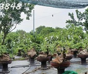Chính chủ cần bán đất tại ấp sa cá, xã bình an, long thành, đồng nai