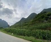 2 Cắt lỗ lô đất trục đường tl181 cán tỷ - hà giang