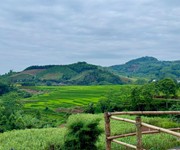 Bán đất view ruộng bậc thang diện tích 1060m tại cao phong, hoà bình cách hà nội