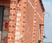 Bán gấp vườn sầu riêng 16 000m  250 cây gần 1 năm tuổi cẩm mỹ đồng nai