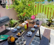 1 Hàng hiếm  2 mt oto view lúa trung tâm An Mỹ-chỉ 15ty